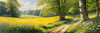 Secluded Glade Filled with Wildflowers and Dappled Sunlight Landscape Print