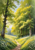 Secluded Glade Filled with Wildflowers and Dappled Sunlight Landscape Print