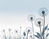 Abstract Tranquil Dandelions Against Soft Blue Sky Art Print