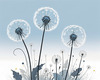 Abstract Tranquil Dandelions Against Soft Blue Sky Art Print