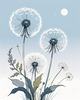 Abstract Tranquil Dandelions Against Soft Blue Sky Art Print
