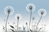 Abstract Tranquil Dandelions Against Soft Blue Sky Art Print