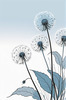 Abstract Tranquil Dandelions Against Soft Blue Sky Art Print