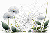 Minimalist Nature Art of Dew Drops on Spider Web Amidst Flowers