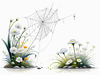 Minimalist Nature Art of Dew Drops on Spider Web Amidst Flowers