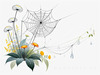 Minimalist Nature Art of Dew Drops on Spider Web Amidst Flowers
