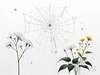 Minimalist Nature Art of Dew Drops on Spider Web Amidst Flowers