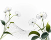 Minimalist Nature Art of Dew Drops on Spider Web Amidst Flowers