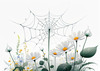 Minimalist Nature Art of Dew Drops on Spider Web Amidst Flowers