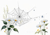 Minimalist Nature Art of Dew Drops on Spider Web Amidst Flowers