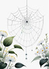 Minimalist Nature Art of Dew Drops on Spider Web Amidst Flowers