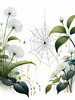 Minimalist Nature Art of Dew Drops on Spider Web Amidst Flowers