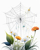 Minimalist Nature Art of Dew Drops on Spider Web Amidst Flowers