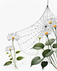 Minimalist Nature Art of Dew Drops on Spider Web Amidst Flowers