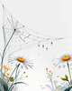 Minimalist Nature Art of Dew Drops on Spider Web Amidst Flowers
