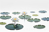 Minimalistic Serene Lily Pond with Abstract Lotus Flowers Nature Art