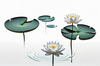 Minimalistic Serene Lily Pond with Abstract Lotus Flowers Nature Art