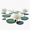 Minimalistic Serene Lily Pond with Abstract Lotus Flowers Nature Art