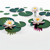 Minimalistic Serene Lily Pond with Abstract Lotus Flowers Nature Art