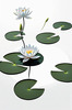 Minimalistic Serene Lily Pond with Abstract Lotus Flowers Nature Art