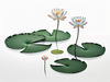 Minimalistic Serene Lily Pond with Abstract Lotus Flowers Nature Art