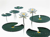 Minimalistic Serene Lily Pond with Abstract Lotus Flowers Nature Art