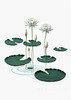 Minimalistic Serene Lily Pond with Abstract Lotus Flowers Nature Art