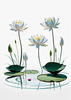 Minimalistic Serene Lily Pond with Abstract Lotus Flowers Nature Art