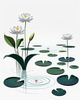 Minimalistic Serene Lily Pond with Abstract Lotus Flowers Nature Art