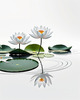 Minimalistic Serene Lily Pond with Abstract Lotus Flowers Nature Art