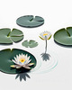 Minimalistic Serene Lily Pond with Abstract Lotus Flowers Nature Art
