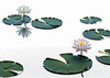 Minimalistic Serene Lily Pond with Abstract Lotus Flowers Nature Art