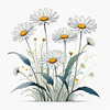 Serene Tranquil Minimalist Daisy Sketch with Peaceful Sky