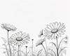 Serene Tranquil Minimalist Daisy Sketch with Peaceful Sky