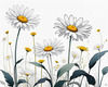 Serene Tranquil Minimalist Daisy Sketch with Peaceful Sky