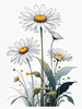 Serene Tranquil Minimalist Daisy Sketch with Peaceful Sky