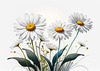 Serene Tranquil Minimalist Daisy Sketch with Peaceful Sky