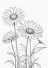 Serene Tranquil Minimalist Daisy Sketch with Peaceful Sky