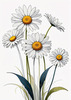 Serene Tranquil Minimalist Daisy Sketch with Peaceful Sky