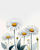 Serene Tranquil Minimalist Daisy Sketch with Peaceful Sky