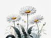 Serene Tranquil Minimalist Daisy Sketch with Peaceful Sky