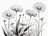 Serene Tranquil Minimalist Daisy Sketch with Peaceful Sky