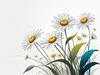 Serene Tranquil Minimalist Daisy Sketch with Peaceful Sky