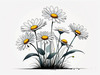 Serene Tranquil Minimalist Daisy Sketch with Peaceful Sky