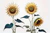 Abstract Serene Sunflowers Sketch with Minimalist Pastel Sky