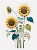 Abstract Serene Sunflowers Sketch with Minimalist Pastel Sky