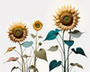 Abstract Serene Sunflowers Sketch with Minimalist Pastel Sky