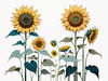Abstract Serene Sunflowers Sketch with Minimalist Pastel Sky