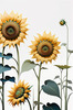 Abstract Serene Sunflowers Sketch with Minimalist Pastel Sky