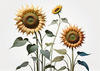 Abstract Serene Sunflowers Sketch with Minimalist Pastel Sky